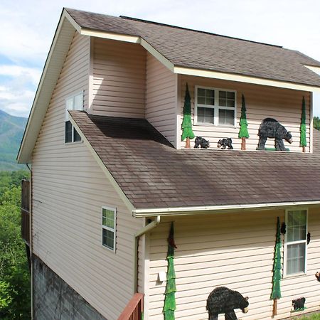 Heavenly View - Bear Themed Cabin, Hottub, Dog-Friendly, Near Gatlinburg Exteriér fotografie