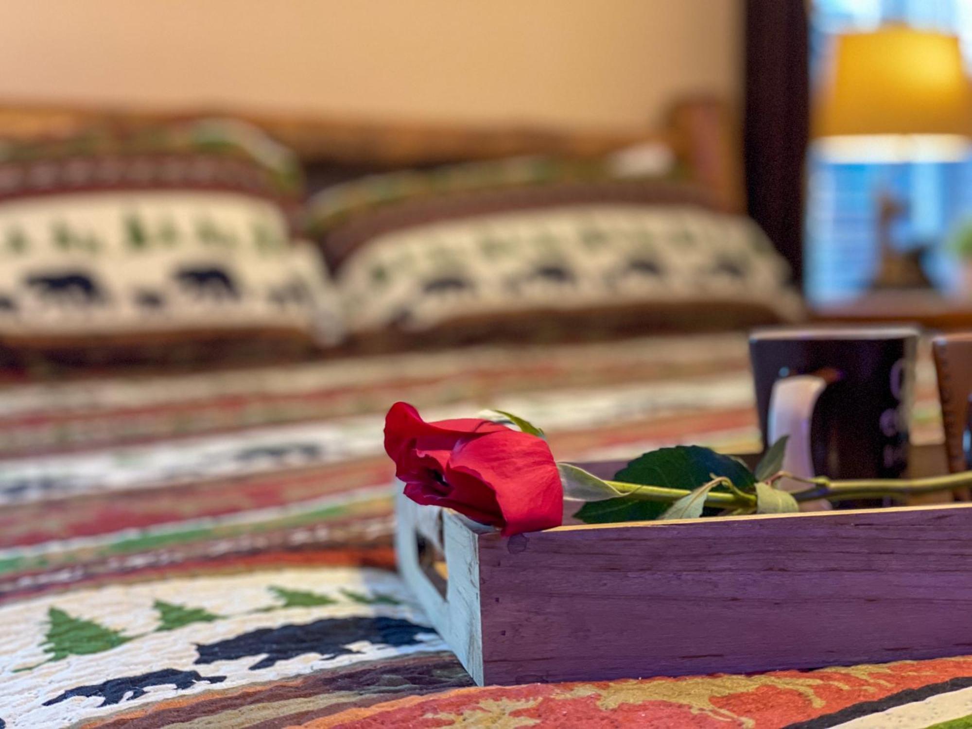 Heavenly View - Bear Themed Cabin, Hottub, Dog-Friendly, Near Gatlinburg Exteriér fotografie