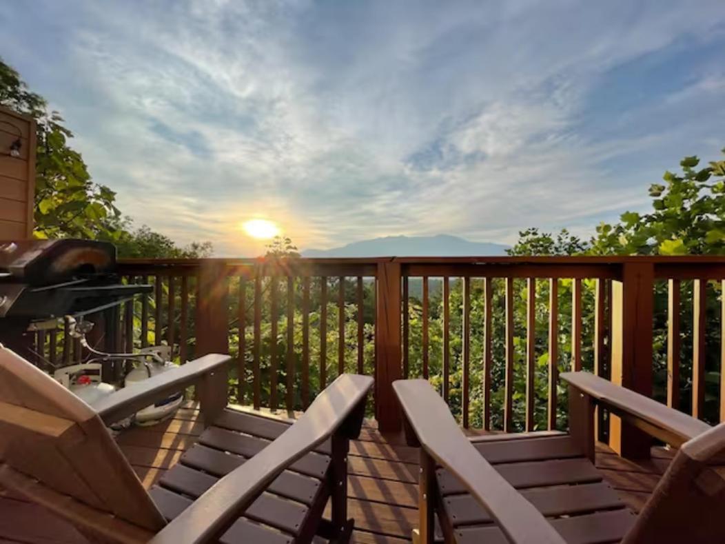 Heavenly View - Bear Themed Cabin, Hottub, Dog-Friendly, Near Gatlinburg Exteriér fotografie