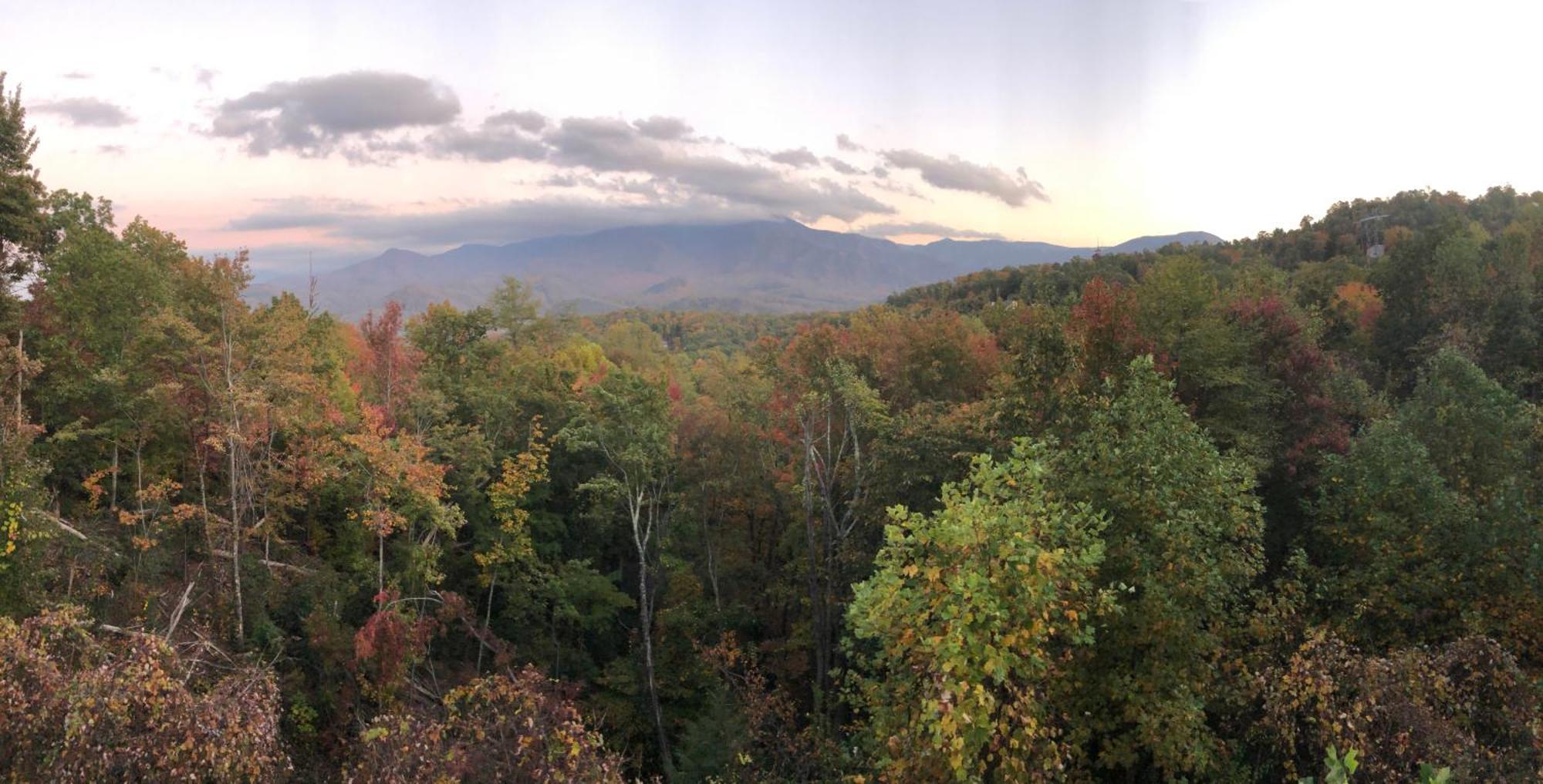 Heavenly View - Bear Themed Cabin, Hottub, Dog-Friendly, Near Gatlinburg Exteriér fotografie