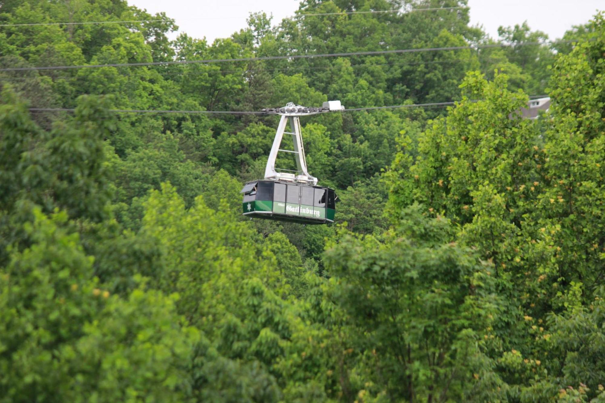 Heavenly View - Bear Themed Cabin, Hottub, Dog-Friendly, Near Gatlinburg Exteriér fotografie